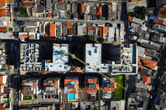 Elza-Guimaraes-_-0501-II