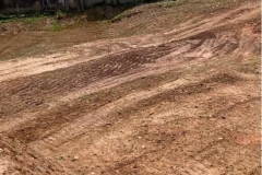 Imagem1